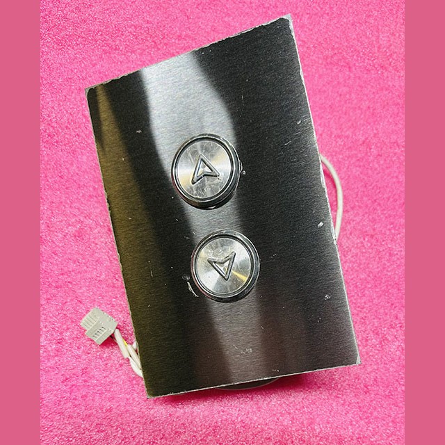 Пост вызова двухкнопочный ПЛВ14И-Н1Т0200ЩУЗ ЩЛЗ